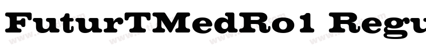 FuturTMedRo1 Regular字体转换